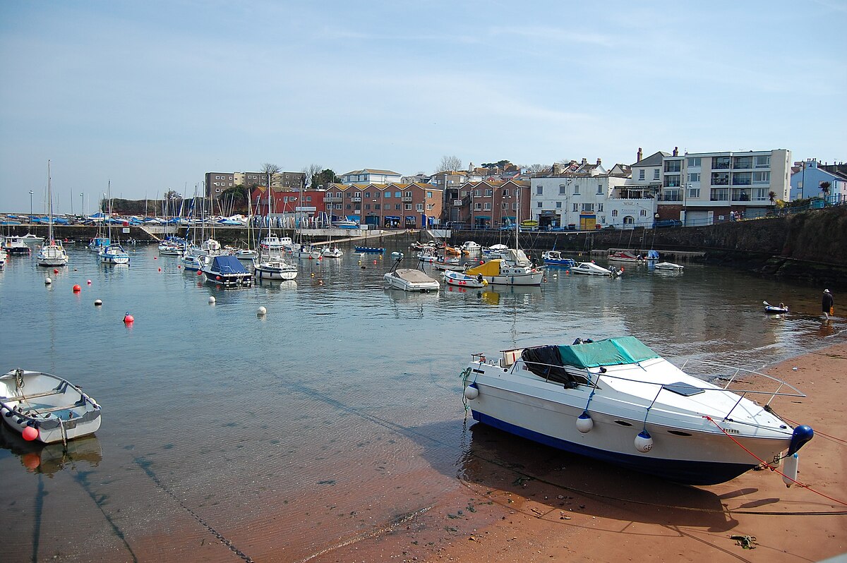 seo services in paignton - paignton harbour